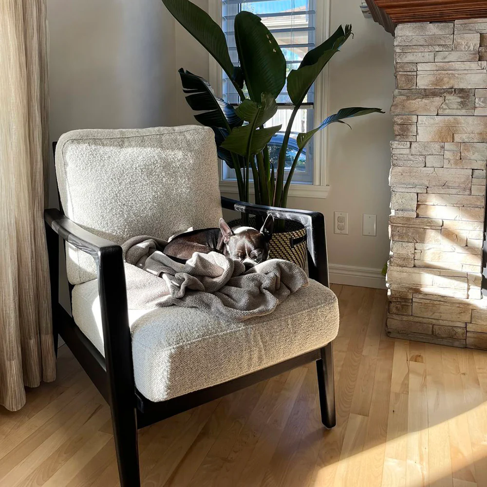 Fauteuil - Lucien - Image 6