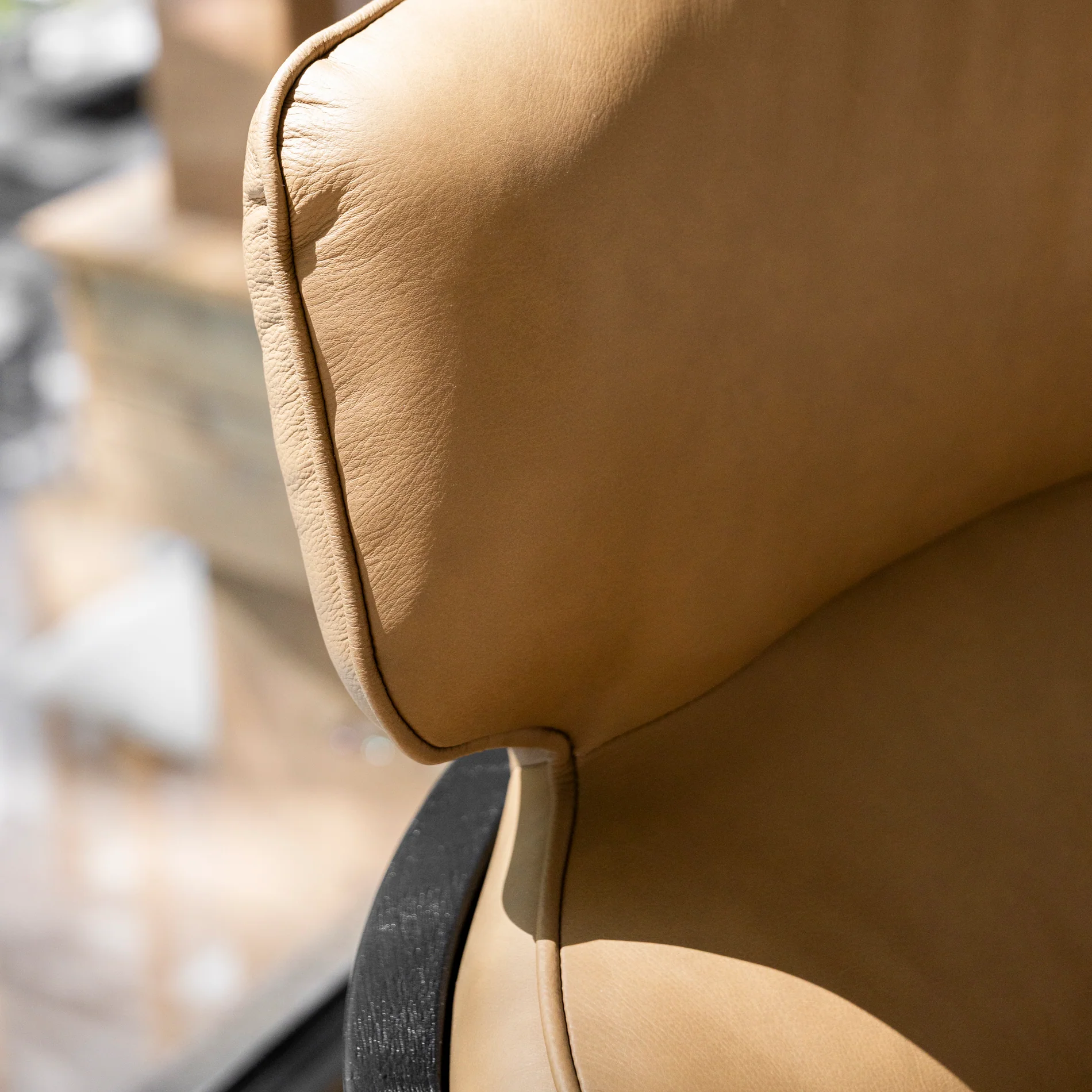 Fauteuil - Lucky - Image 4
