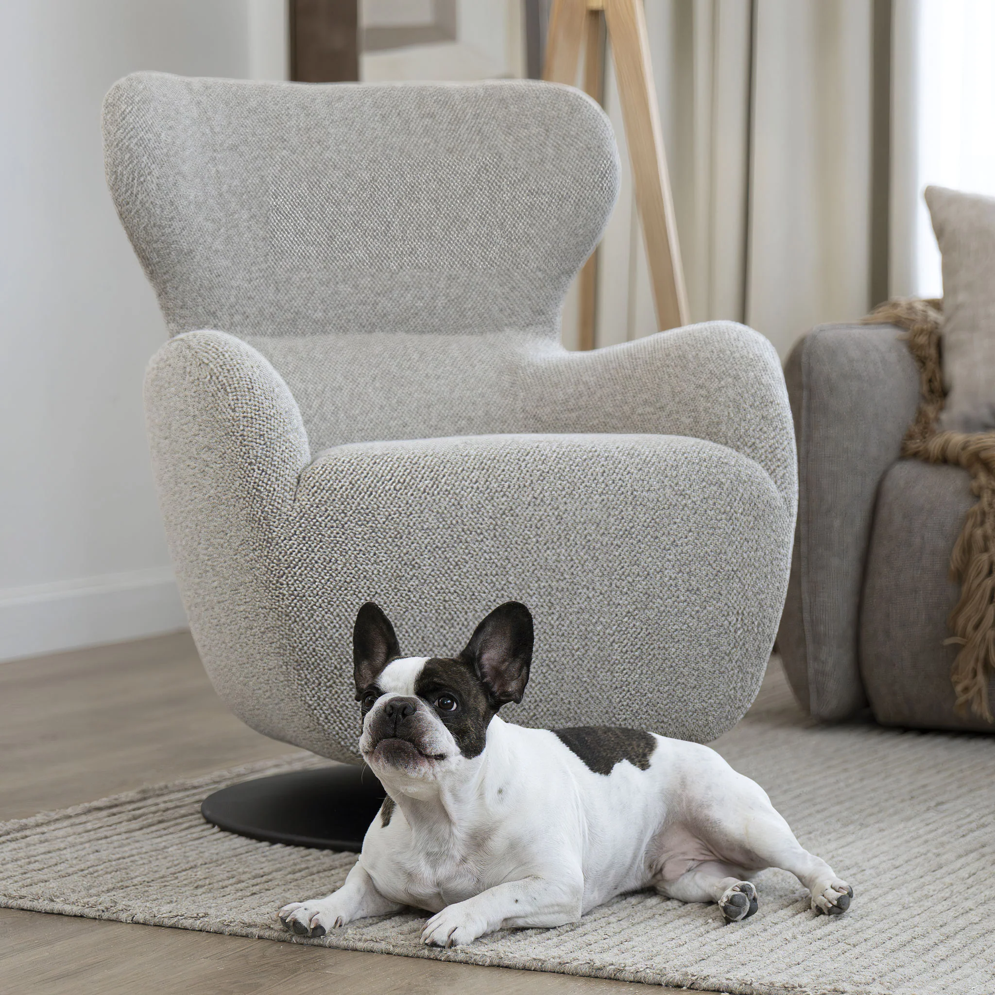 Fauteuil - Le petit Winston - Image 6